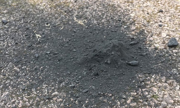 Image of the main mass of the meteorite on the driveway where it fell.