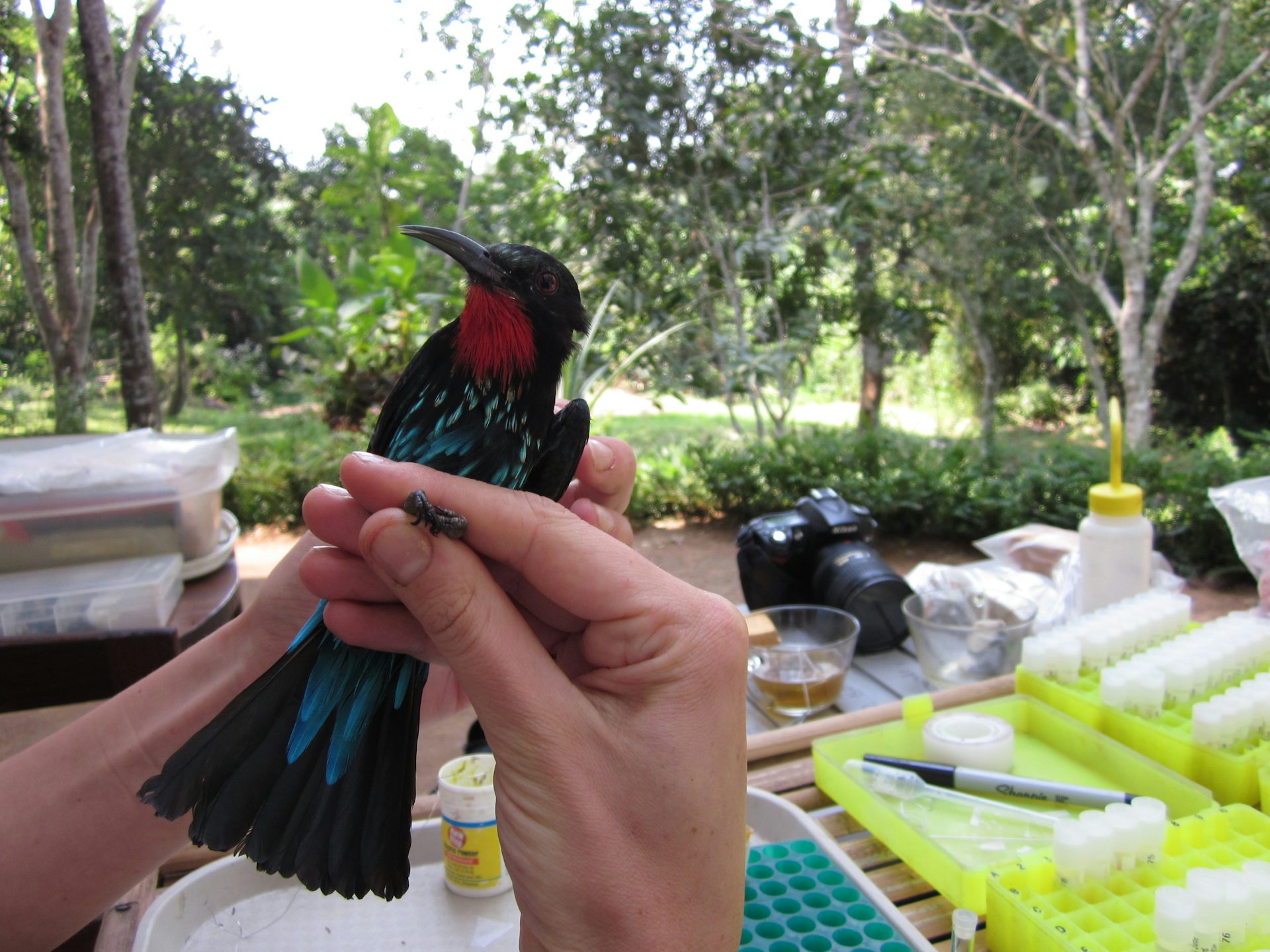 Science behind the scenes: ‘From the Earth’s poles to the Equator, I ...