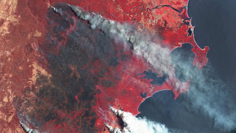Los ‘ojos’ espaciales que nos ayudan a reparar la huella de destrucción de los megaincendios Los ‘ojos’ espaciales que nos ayudan a reparar la huella de destrucción de los megaincendios