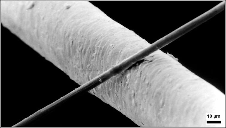 One thick cylinder overlaid by one thinner one