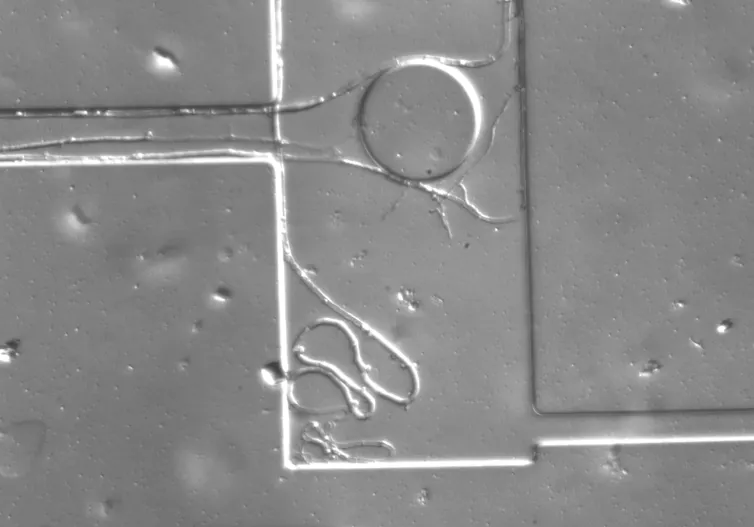 A silver surface upon which a line is meandering into a corner