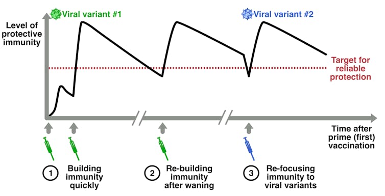 Why do we need booster shots, and could we mix and match different COVID vaccines?