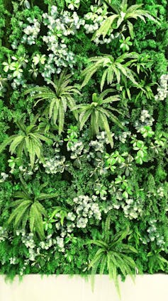 A living wall filled with plants