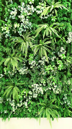 A living wall filled with plants