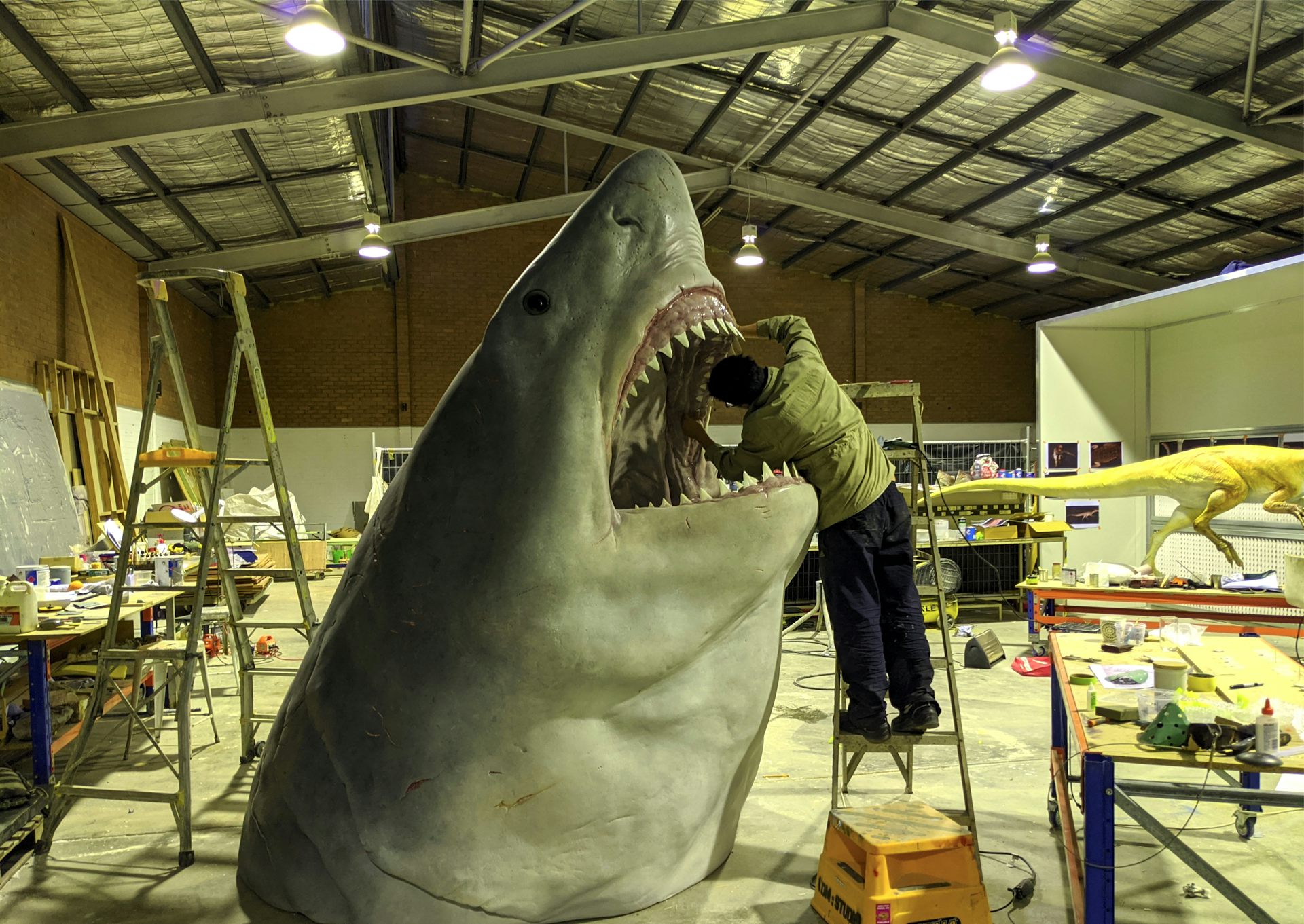 Worlds Largest Megalodon Shark