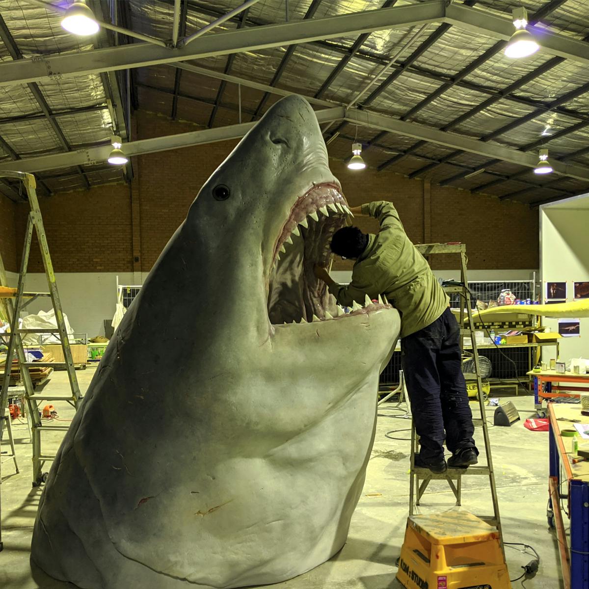 Worlds Largest Megalodon Shark