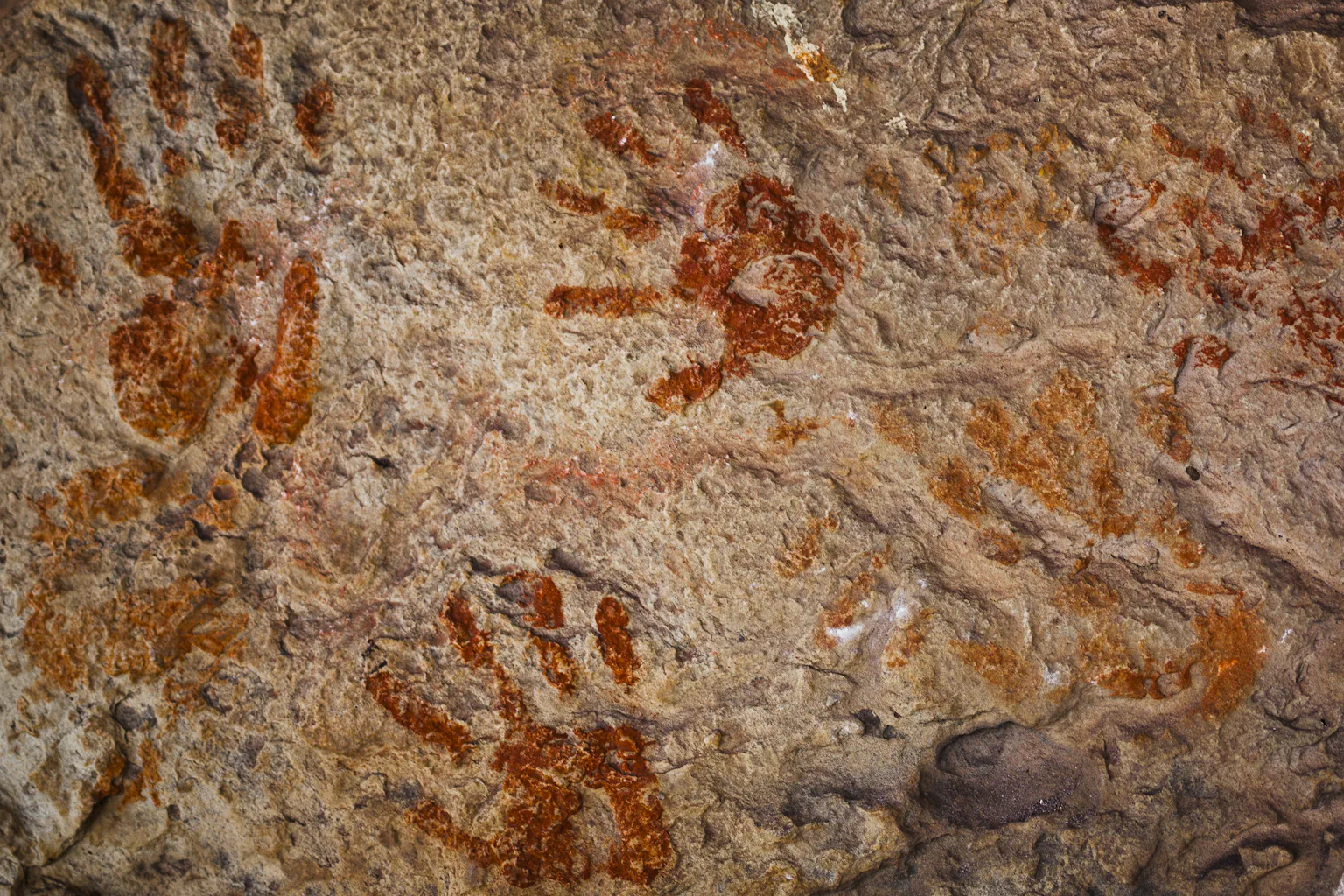 The First Australians grew to a population of millions, much more than ...