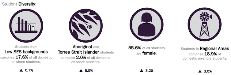 Chart showing diversity of higher education students