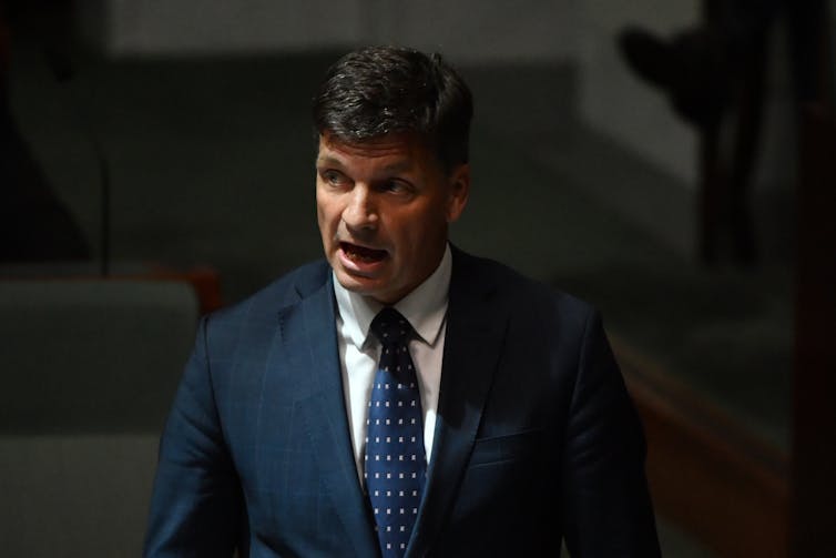 Energy minister Angus Taylor in a blue suit