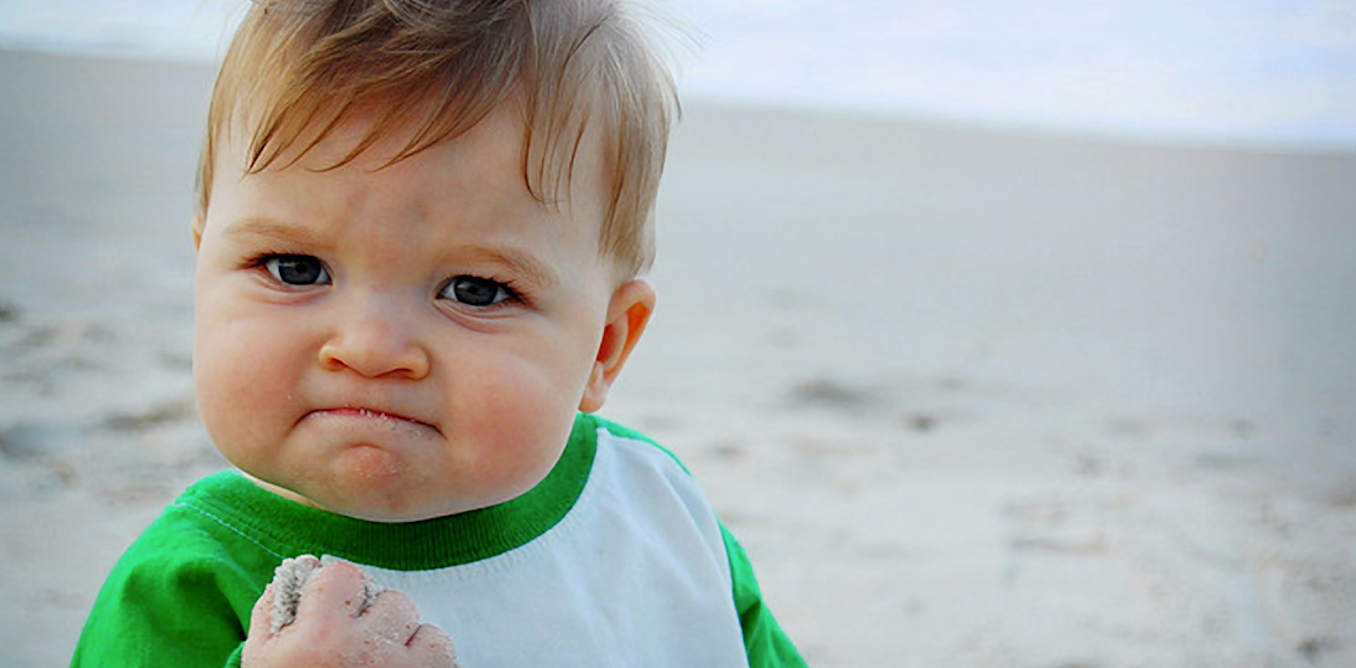 Explainer: what are memes? Explainer: what are memes?