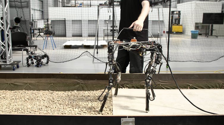 Shape-shifting robots in the wild: the DyRET robot can rearrange its body to walk in new environments