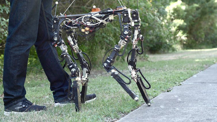 Shape-shifting robots in the wild: the DyRET robot can rearrange its body to walk in new environments