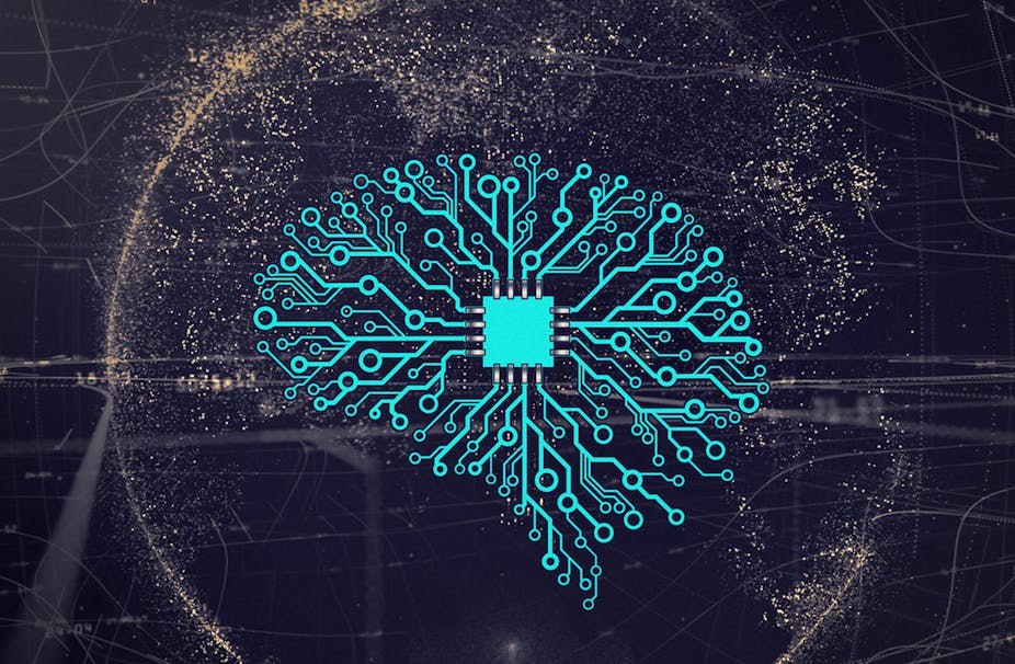 Brain and AI circuits