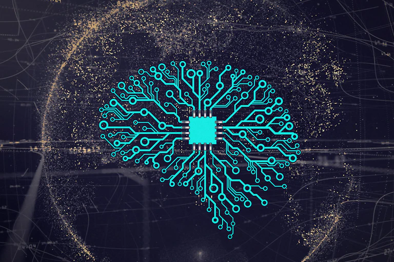 Brain and AI circuits