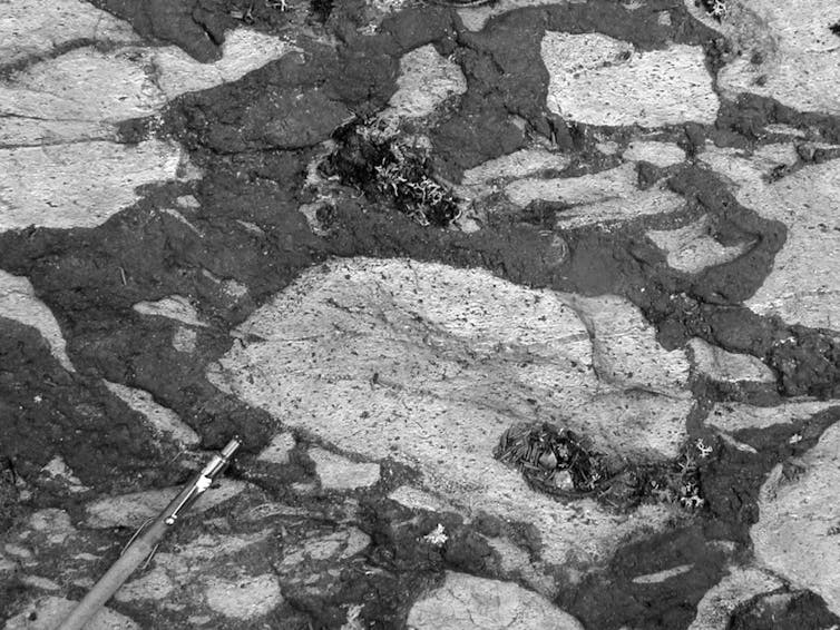 Black and white photograph of ore