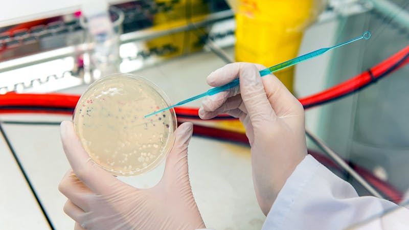 Las vacunas de COVID-19 no pueden contagiarle el cáncer Las vacunas de COVID-19 no pueden contagiarle el cáncer