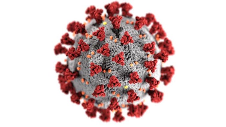 A drawing of the coronavirus.