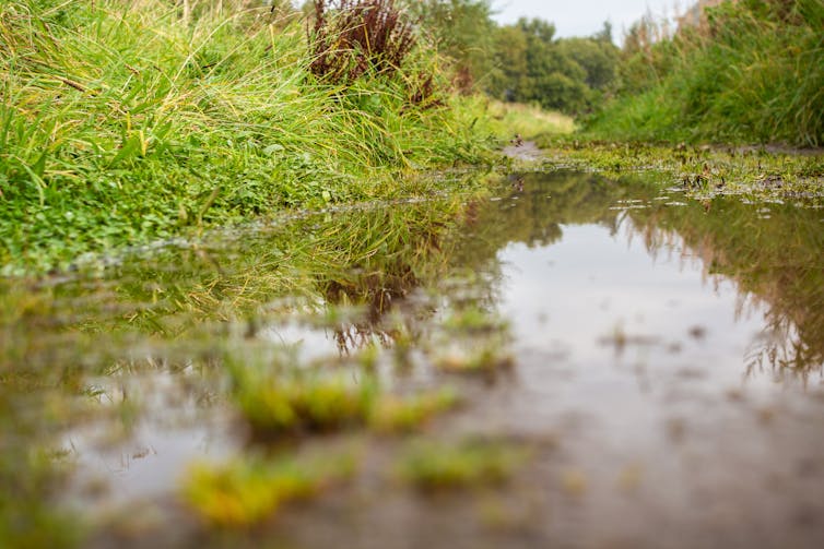 Flooded country path