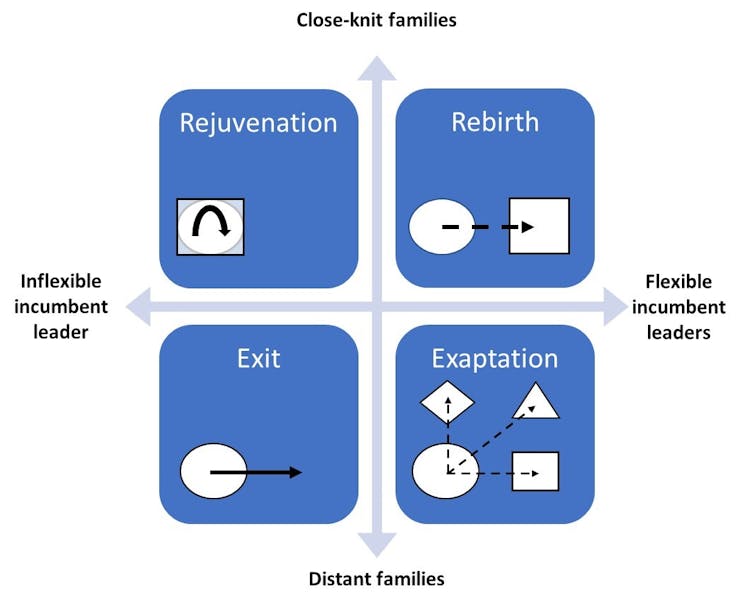 A graph shows four family business transition strategies.
