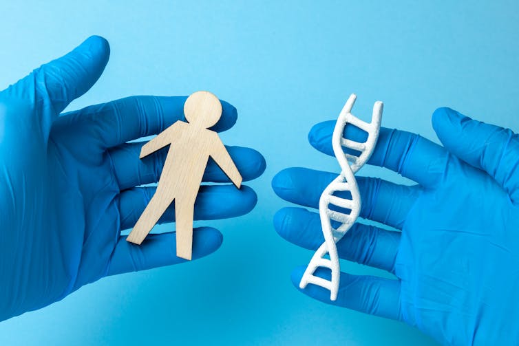 A lab working wearing blue gloves holds a paper cutout of a person in one hand, and a paper DNA helix in the other.