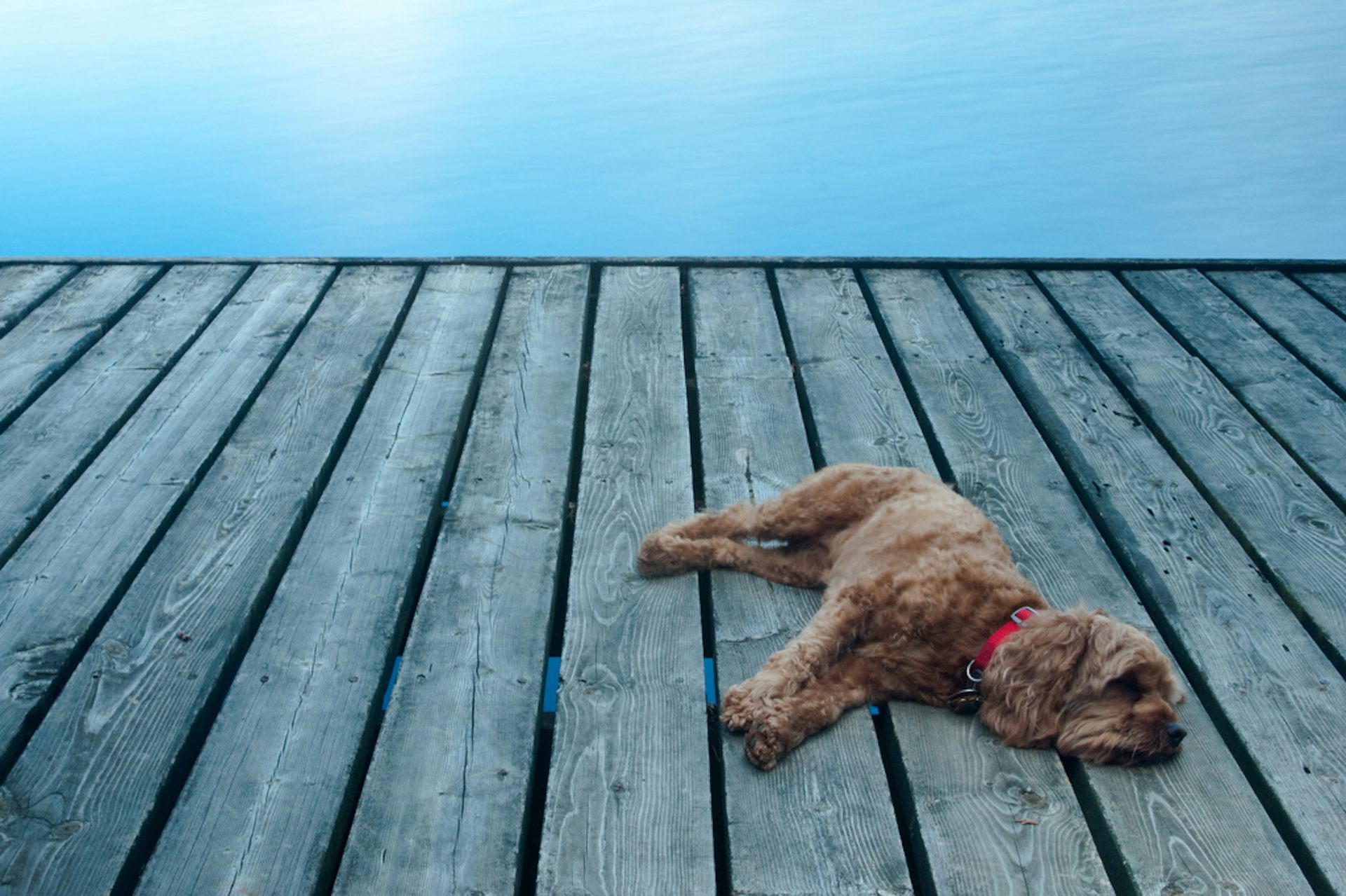 Inflation - the dog that didn’t bark