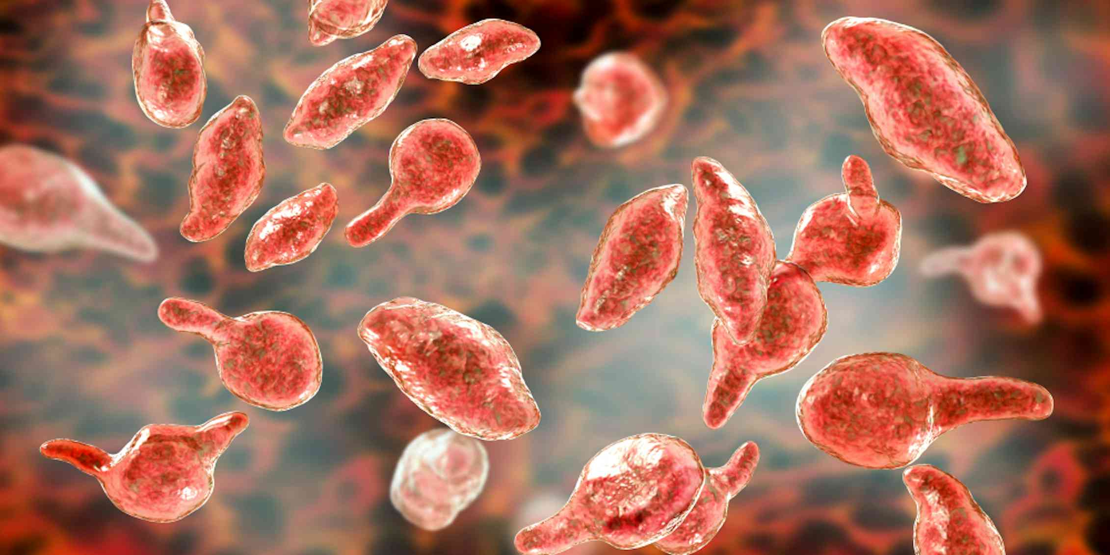 Mycoplasma genitalium: The common STI you've probably never heard of ...