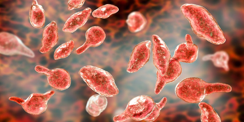 What Is Mycoplasma Genitalium, The Common Sti You've Probably Never Heard Of