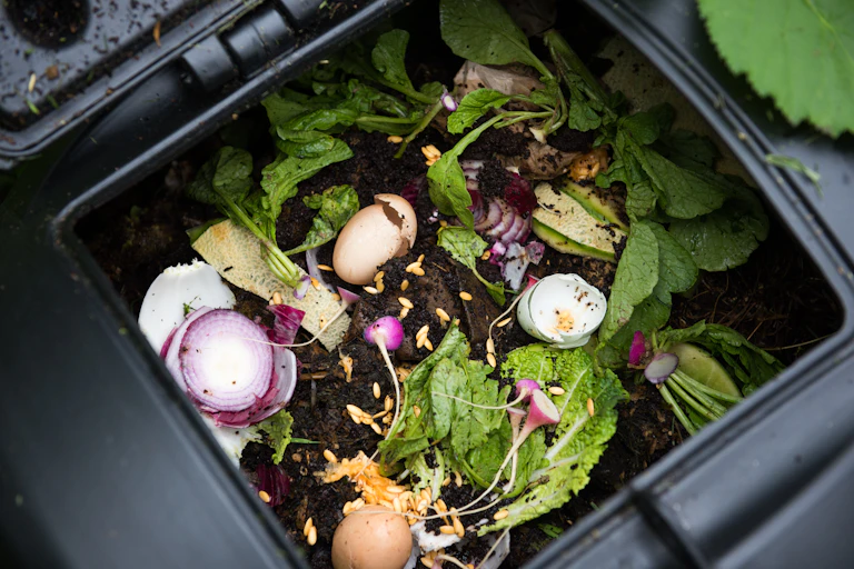 Rubbish bin with food scraps.
