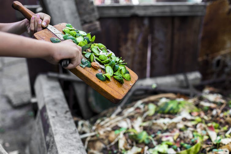 Vegetables being scraped into a bin.