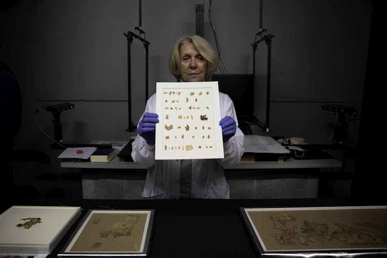 Woman in lab holds up ancient items