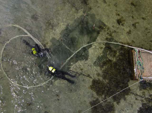 Divers excavate a shallow water submerged Mesolithic midden off the island of Hjarnø, Denmark. 