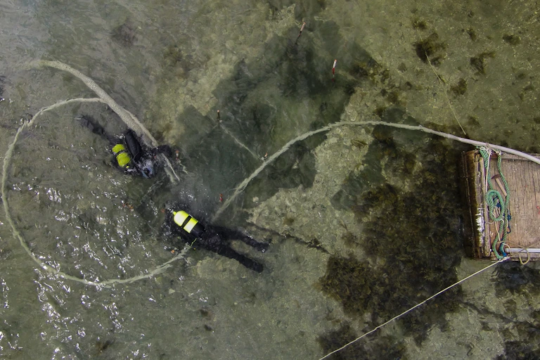 Divers excavate a shallow water submerged Mesolithic midden off the island of Hjarnø, Denmark.