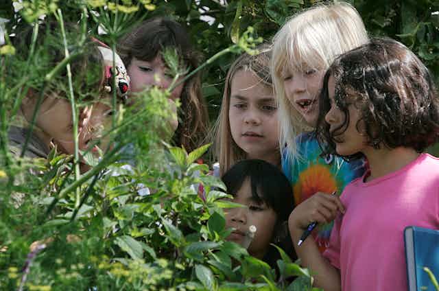 Young kids gather around to observe a plant