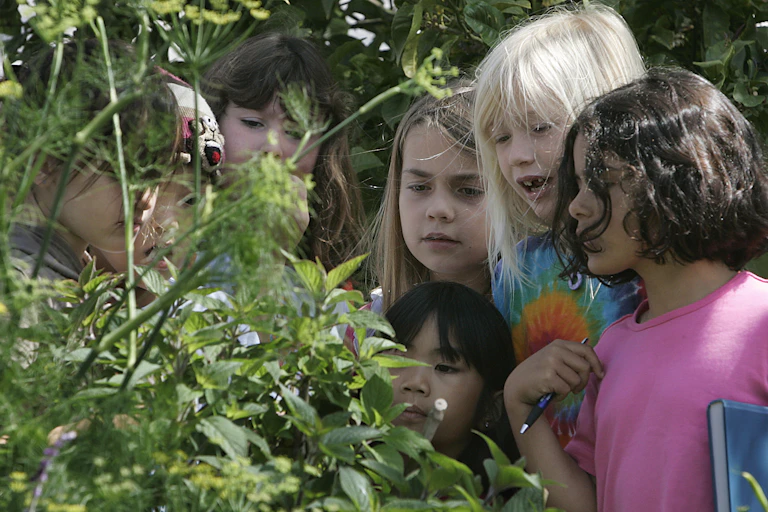 Young kids gather around to observe a plant