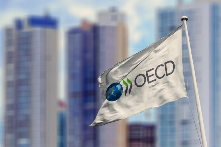 OECD flag against city skyline