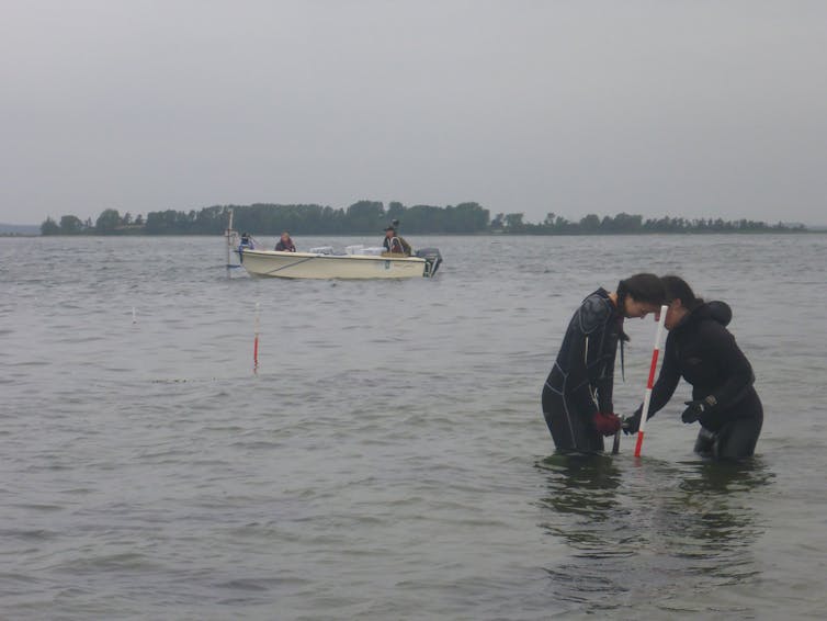 Ancient undersea middens offer clues about life before rising seas engulfed the coast. Now we have a better way to study them