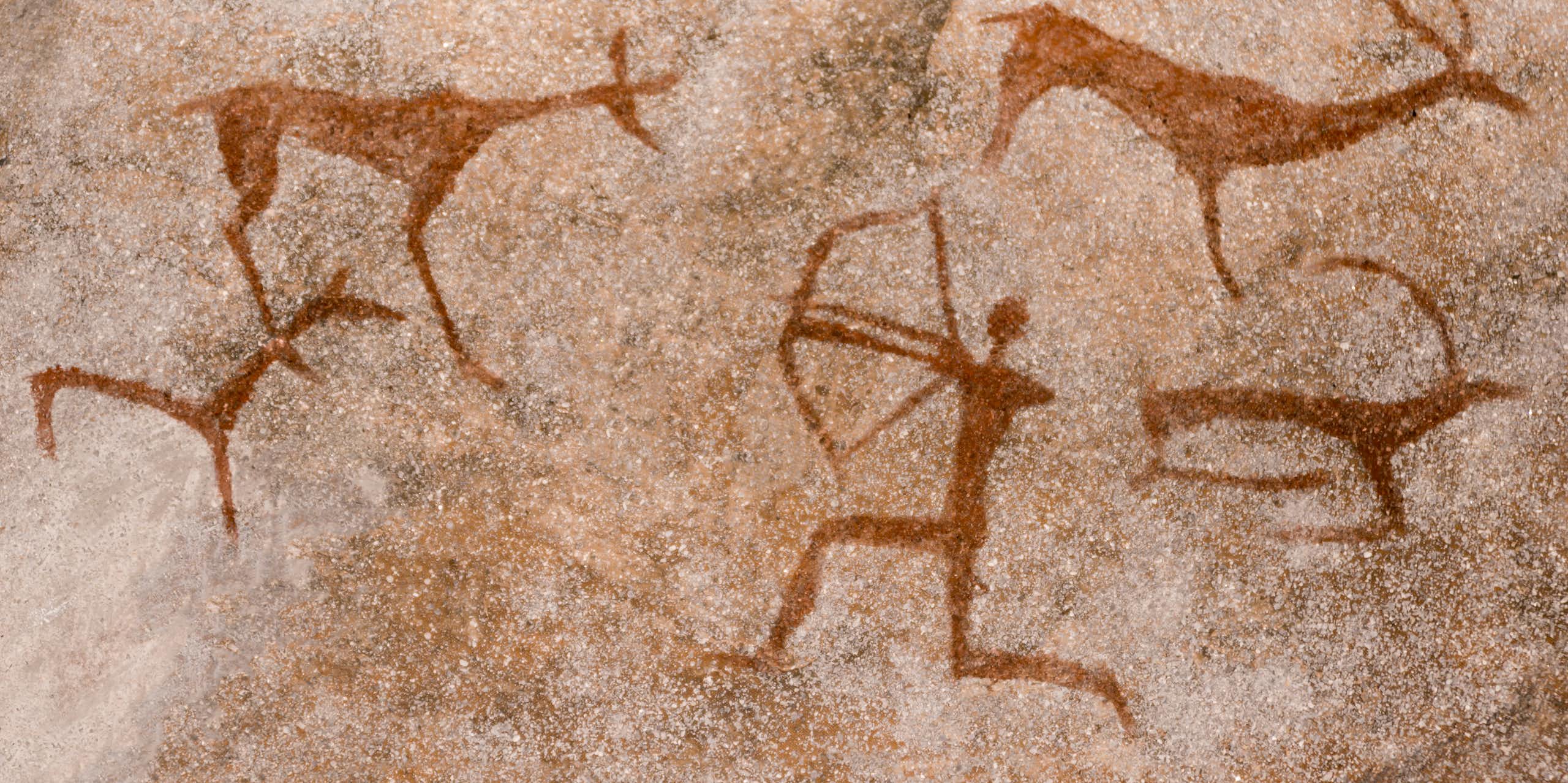 Les femmes de la préhistoire chassaient le gros gibier, ce qui remet en question notre vision du rôle des sexes