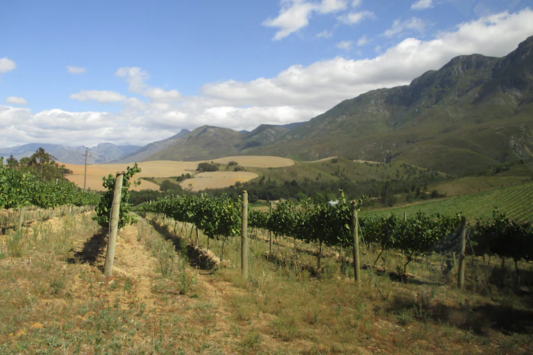 Lismore Estate, Greyton, South Africa.