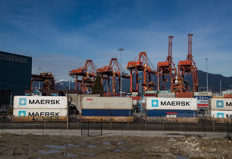 Stacked cargo containers in front of port cargo lifts.