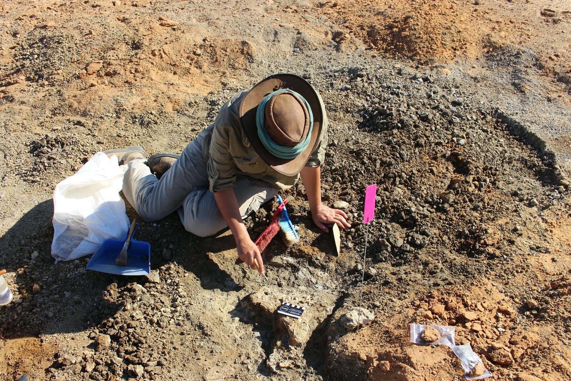 How to hunt fossils responsibly 5 tips from a professional palaeontologist