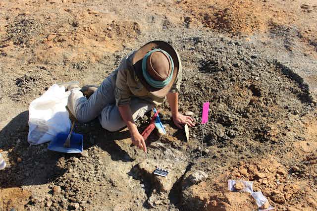 Palaeontologist Kailah Thorn digging through sediments using an awl, surrounded by sample bags and scale bar.