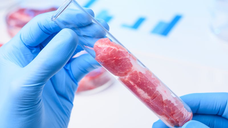 ¿Cuál es el interés nutricional de la carne artificial?