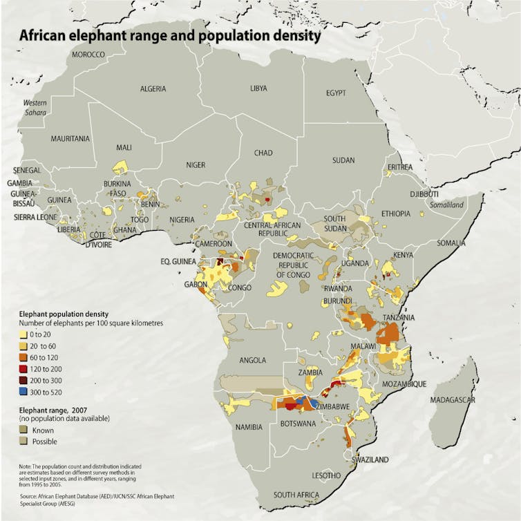 Map of elephant populations across Africa.