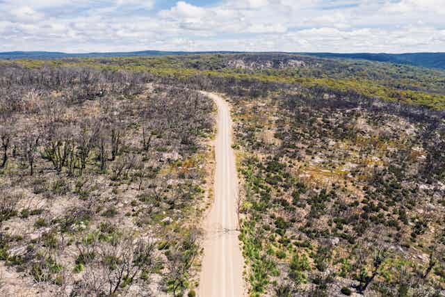 Road through recovering bushland
