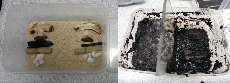 archaeological materials laid out on sand in a takeaway container, then buried in wet guano
