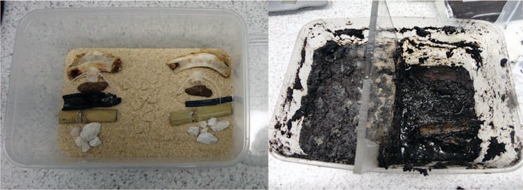 bones cooked in bat poo lift the lid on how archaeological sites are formed