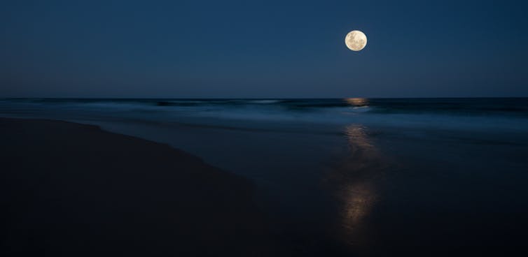 A full moon in the sky over a Queensland beach