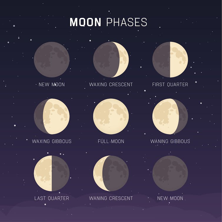 Phases of the Moon