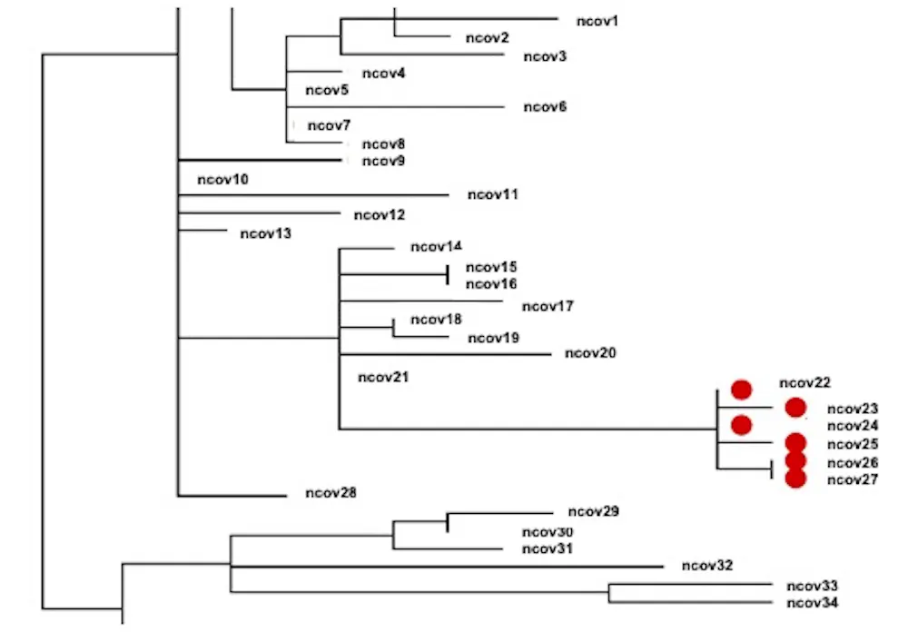 To track coronavirus variants, U.S. needs more genetic sequencing ...
