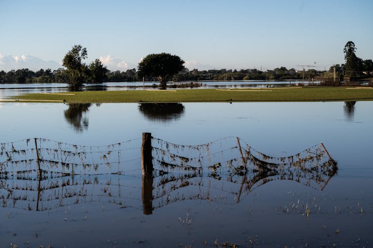 A flooded floodplain in NSW